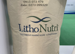 Cung cấp Khoáng tảo biển NUTRI LITHO POWDER giá sỉ