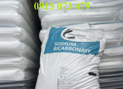 Cung cấp Sodium Bicarbonate (Soda lạnh NOVABAY pháp) giá sỉ