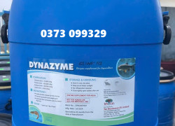 Cung cấp DYNAZYME - Enzyme tăng trọng Ấn Độ giá sỉ