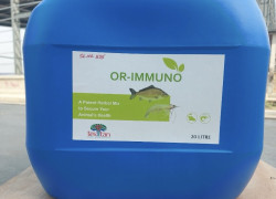 Cung cấp OR IMMUNO hỗn hợp thảo dược bảo vệ sức khoẻ cho vật nuôi