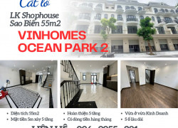 Siêu phẩm Shophouse Sao Biển giá cắt lỗ RẺ nhất Vinhomes Ocean Park 2 The Empire