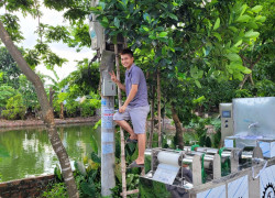 In chân tầng ong nội/ ong ngoại- made in Việt Nam!