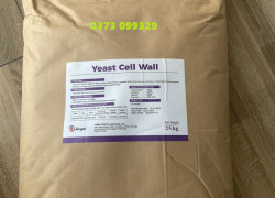 Cung cấp Betaglucan (YEAST CELL WALL) vách tế bào nấm men