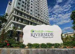 Bán 5 căn Ecolife Riverside - Quy Nhơn, giảm giá 25%, nhận nhà mới 100%,