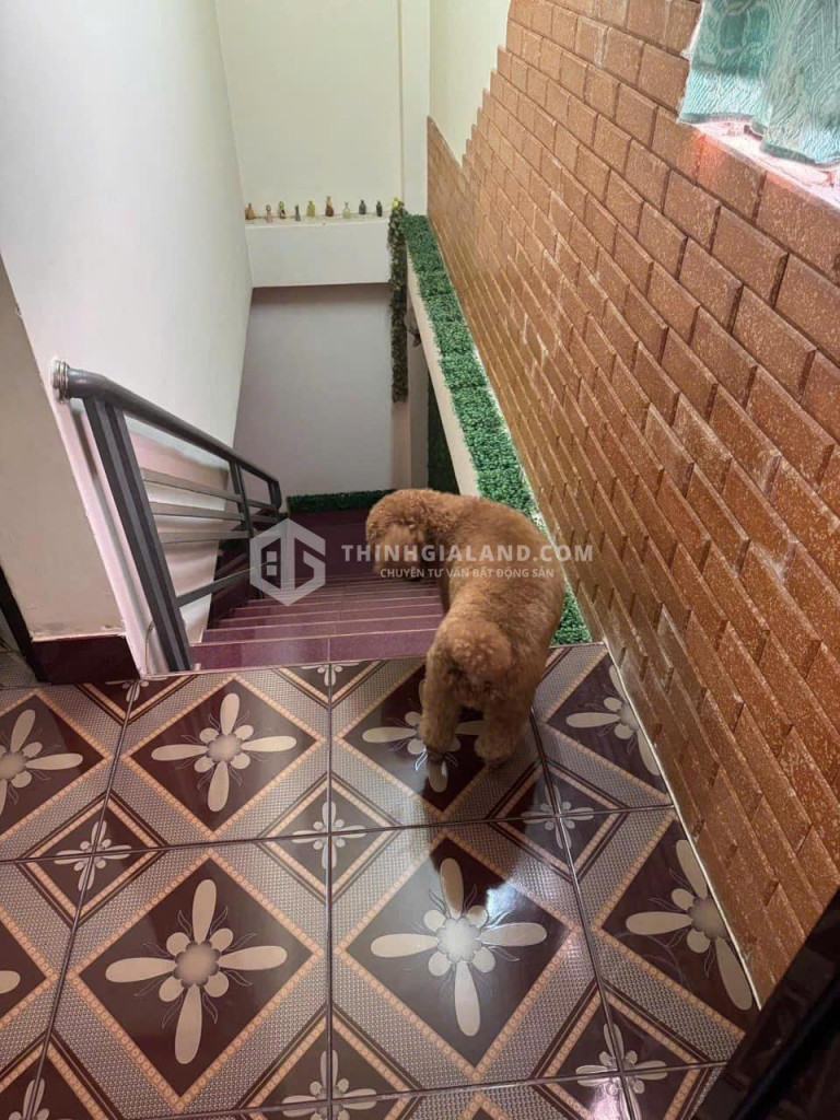 🏠 BÁN NHÀ 1 TRỆT 1 LẦU PHAN CHU TRINH_80M²_CHỈ 7.3 TỶ_GẦN BIỂN BÃI SAU_TIỆN NGHỈ DƯỠNG 🌊