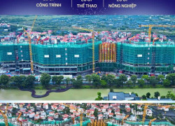 lựa chọn công ty tnhh lưới công trình – đối tác tin cậy