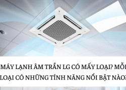 Cả hai thương hiệu đều sử dụng công nghệ Inverter tiết kiệm điện năng