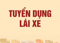 Tuyển gấp tài xế văn phòng lương cao làm việc tại TP Thủ Đức