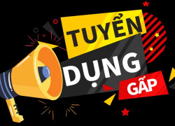 TUYỂN DỤNG VIỆC LÀM QUẬN TÂN PHÚ