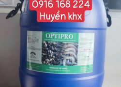 OPTIPRO – MEN VI SINH ĐƯỜNG RUỘT ĐẬM ĐẶC