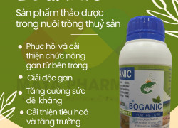 Boganic