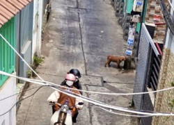Chủ yếu bán ĐẤT tặng nhà, diện tích gần 100m2 ĐẤT, tiện xây mới hoặc đầu tư giữ tiền, Q8