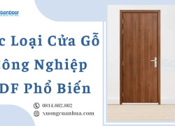 Các Loại Cửa Gỗ Công Nghiệp MDF Phổ Biến