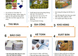 Phần mềm quản lý mua bán nông sản kết nối cân điện tử