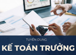 Tuyển kế toán trưởng gấp yêu cầu kinh nghiệm lâu năm ĐI LÀM NGAY