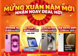 mừng xuân năm mới nhận ngay deal hời