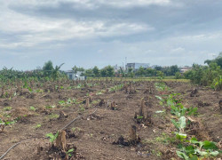 Cần bán 4800m, xã Sông Thao, huyện Trảng Bom