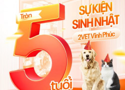 sinh nhật 2Vet Vĩnh Phúc tròn 5 tuổ