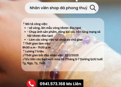 Tuyển nhân viên shop đá phong thuỷ