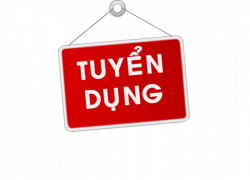 TUYỂN DỤNG NHÂN VIÊN ĐÓNG GÓI QUÀ TẾT