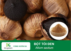 Nguyên Liệu Bột Tỏi Đen - Hỗ Trợ Tiêu Hóa & Tăng Trọng Hiệu Quả