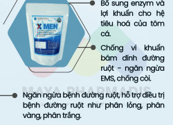 MEN SỐNG XMEN