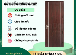 CỬA GỖ CHỐNG CHÁY SAIGONDOOR