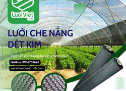 Lưới che nắng miền Bắc