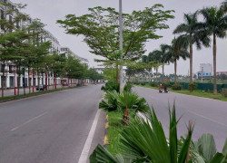 HÀNG HIẾM _ NHÀ ĐẦU TƯ THÔNG THÁI( Shophouse Yên Phong - Bắc Ninh)