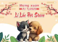 Lí Lắc Pet Store Hoạt Động Xuyên Suốt Dịp Tết Nguyên Đán Ất Tỵ 2025