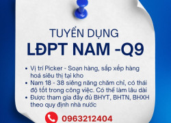 CÔNG TY DSL TUYỂN NAM LĐPT LÀM VIỆC LÂU DÀI (CÓ ĐÓNG BHXH) ĐI LÀM NGAY