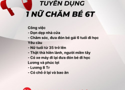 Cần tuyển 1 Nữ chăm bé học lớp 1