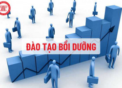 Lớp học Bồi dưỡng Ngạch chuyên viên trực tuyến - Call/Zalo: 0902 86 86 81