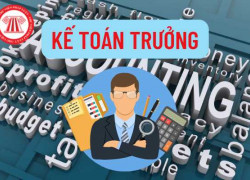 Lớp học Bồi dưỡng Kế toán trưởng Doanh nghiệp online - Call/Zalo: 0902 86 86 81