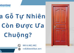 Cửa Gỗ Tự Nhiên Có Còn Được Ưa Chuộng?