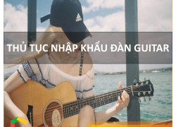 Thủ Tục Nhập Khẩu Đàn Guitar