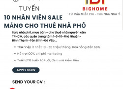 Công Ty Big Home tuyển 10 nhân viên sale mảng cho thuê nhà phố