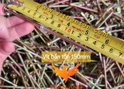 Vít tôn 15cm