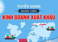 TUYỂN DỤNG NHÂN VIÊN SALES XUẤT KHẨU TIẾNG ANH & TIẾNG TRUNG