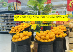 Sọt mây đựng trái cây siêu thị go