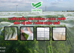 Lưới Chắn Côn Trùng - Giải Pháp Bảo Vệ Cây Trồng Hiệu Quả