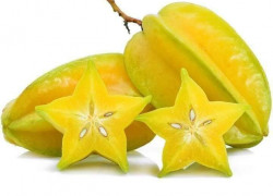 GIỐNG CÂY KHẾ CHUA CHUẨN GIỐNG