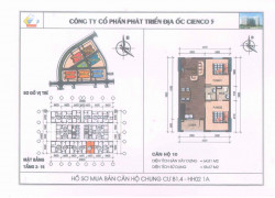 Chính chủ cho thuê căn hộ 65m² chung cư Thanh Hà Cienco 5 – 0918818872