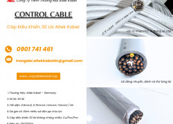 Cáp Điều Khiển 30 Lõi Altek Kabel