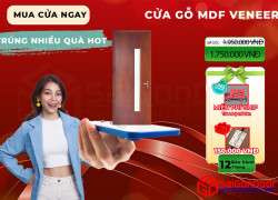 Cửa gỗ công nghiệp MDF Veneer