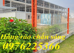 Lưới hàng rào chấn sóng