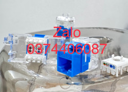 Nhân đấu nối RJ45 âm tường CAT6 UTP hiệu Ancomteck, mã ACT-JK28-C6-US