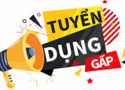 TUYỂN DỤNG CÁN BỘ KỸ THUẬT NGÀNH XÂY DỰNG