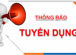 TUYỂN DỤNG NHÂN VIÊN THIẾT KẾ BAO BÌ CARTON