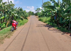 Cần bán 1007m, Mặt Tiền đường nhựa, xã Thanh Bình, huyện Trảng Bom